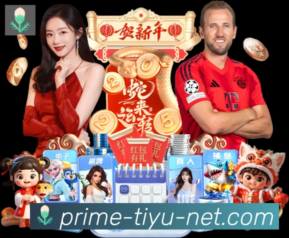 金牌平台
